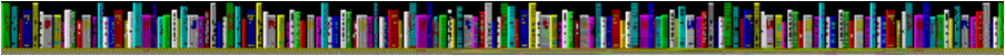 Row of books graphic